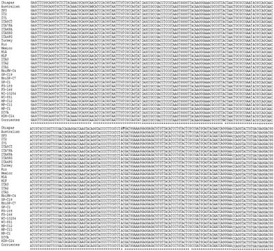 Development and standardization of a Loop-mediated isothermal amplification (LAMP) test for the detection of Babesia bigemina